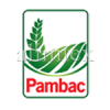 Pambac